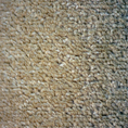 Associated Weavers Vantage Dark Beige 100% Polypropylene 8'3 x 10'